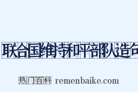 联合国维持和平部队造句是什么意思的图片